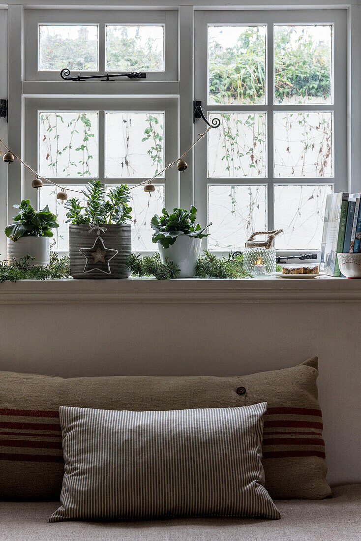 Evergreen foliage and garland on windowsill with cushions in St Erth cottage at Christmas Cornwall UK