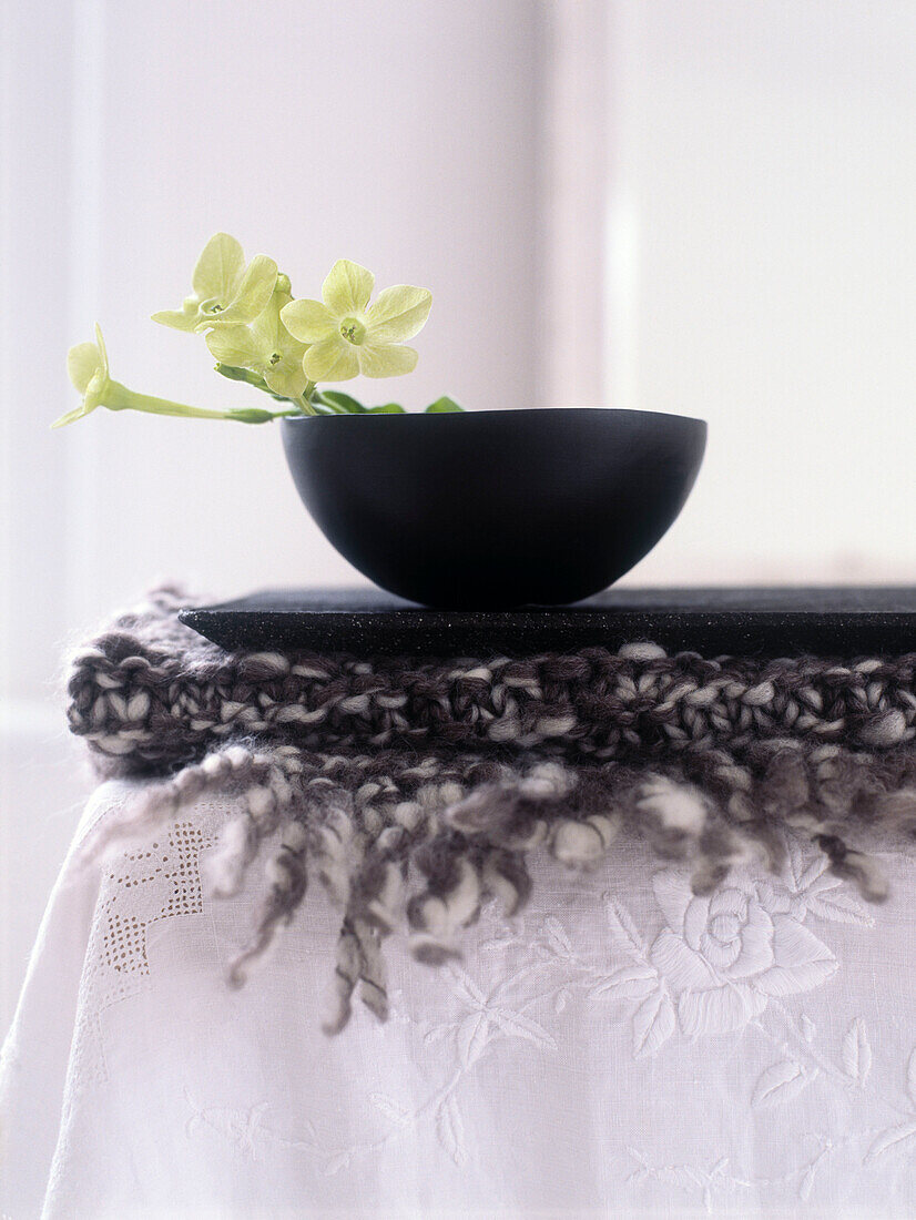 Yellow orchid in bowl with wool and lace