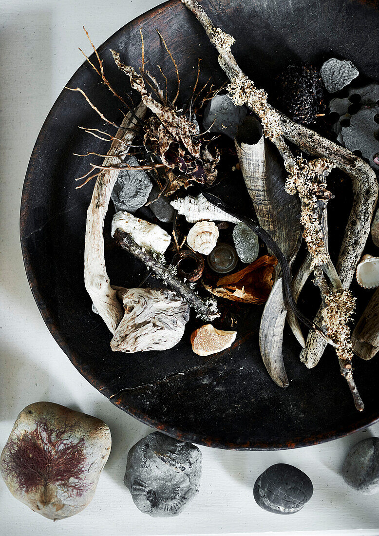 Seashells and driftwood in black bowl Lyme Regis home Dorset UK