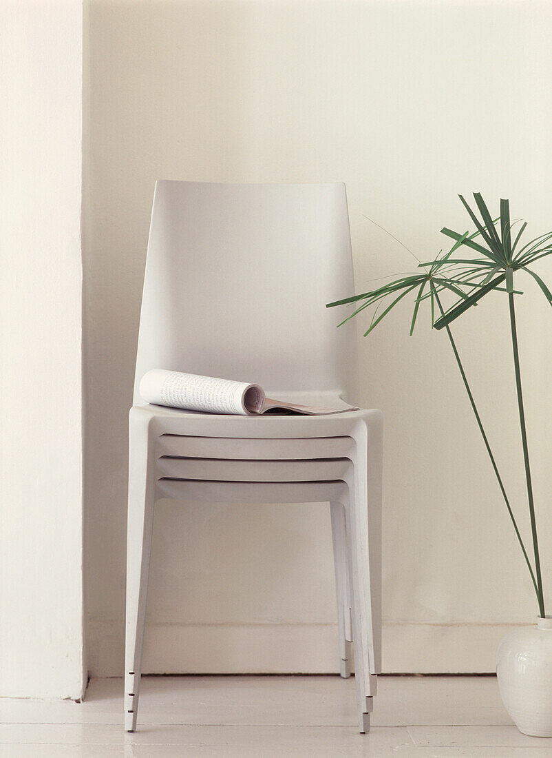 Stack of chairs with plant