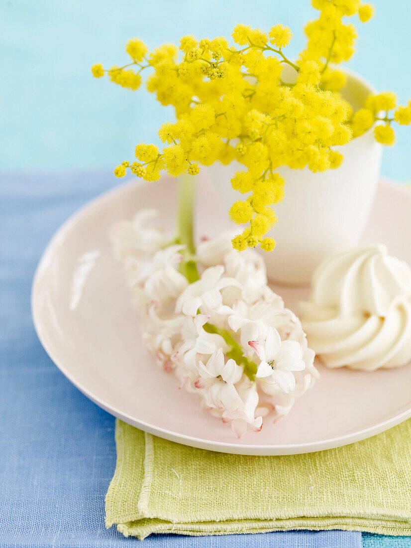 Sprig of Mimosa in vase on plate