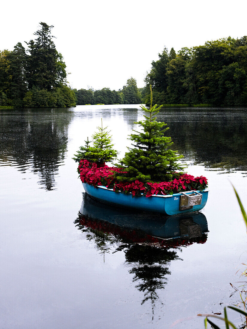 Weihnachtsbäume und Weihnachtssterne in einem Ruderboot auf einem schottischen See UK