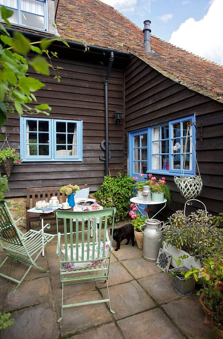 Schwarze Katze im Hofgarten von Egerton cottage, Kent, England, Vereinigtes Königreich