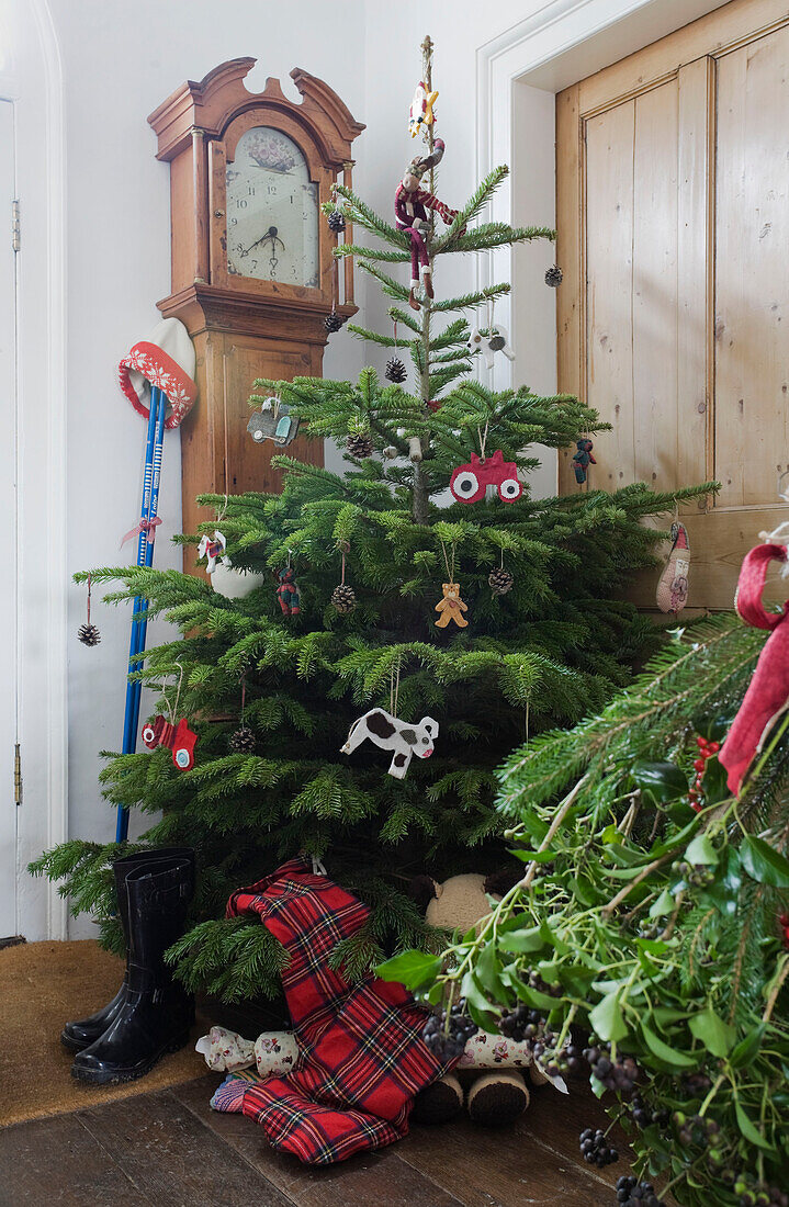 Weihnachtsbaum mit antiker Standuhr im Flur eines Familienhauses in Tenterden, Kent, England, UK