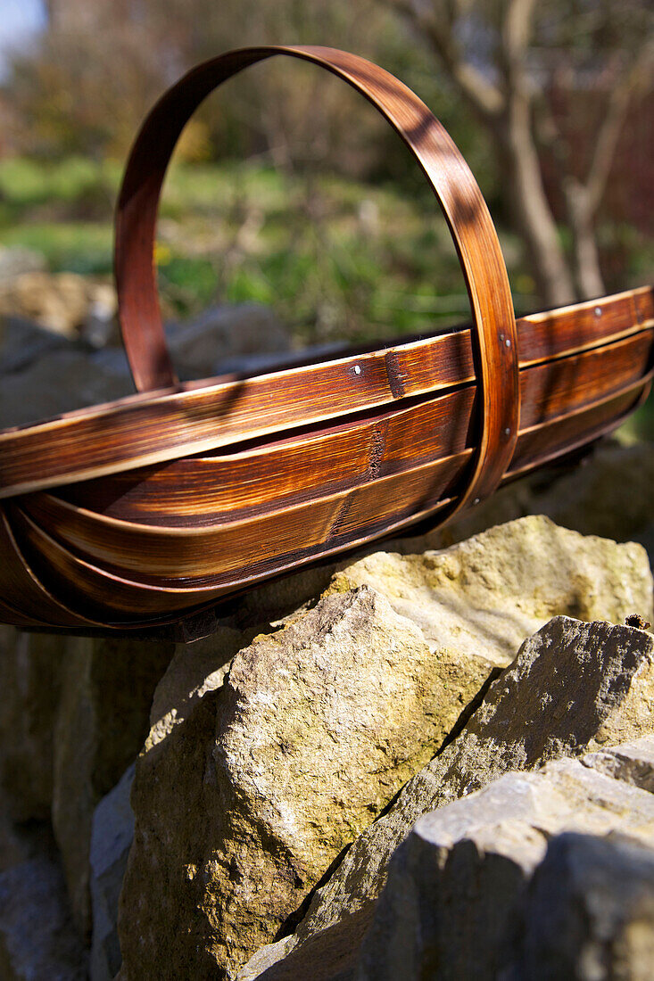 Bamboo garden trug on dry-stone wall in Dorset garden Corfe Castle England UK