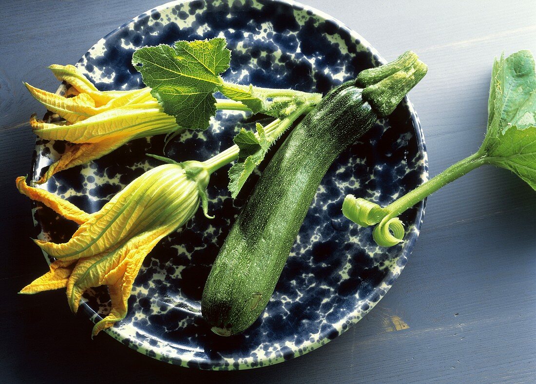 Eine Zucchini & zwei Zucchiniblüten auf Teller