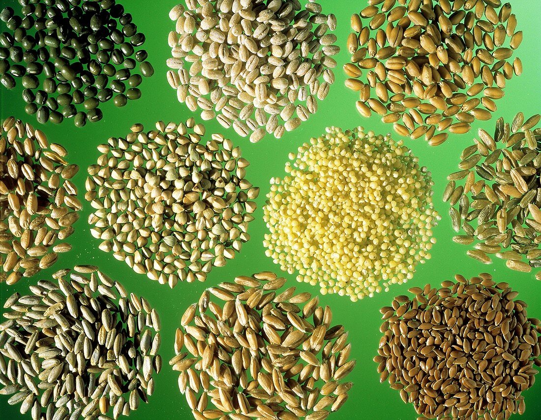 Still Life of Many Assorted Grains