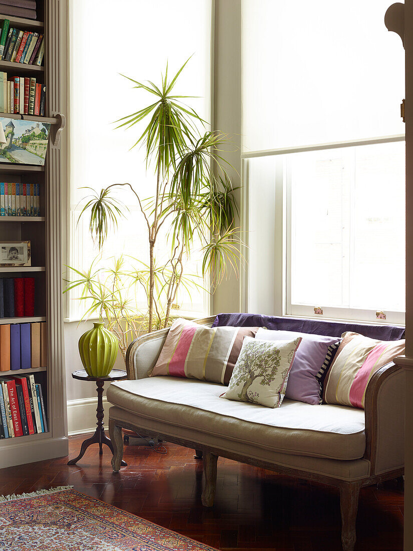 Sofa and houseplant with bookcase in bay window of London townhouse apartment, UK