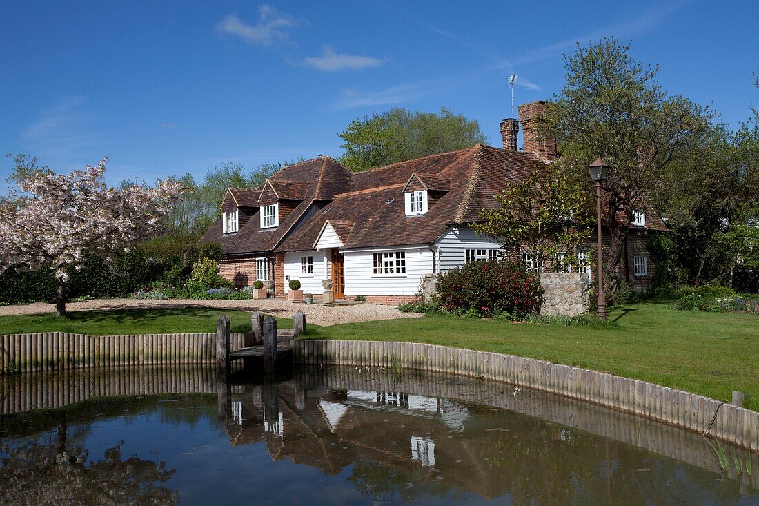 Kent cottage with fenced pond and cherry blossom, England, UK