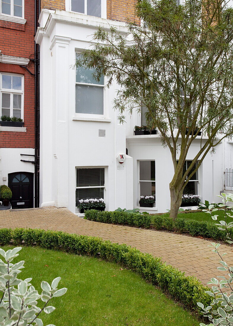 Vorderer Weg und Garten zu einem weißen Stadthaus in London, England, UK