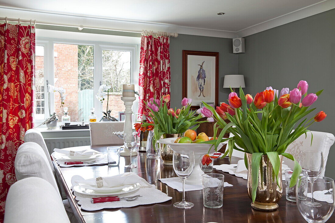 Geschnittene Tulpen auf einem Esstisch mit weißen Stühlen und roten Blumenvorhängen in einem Bauernhaus in Staffordshire, England, UK