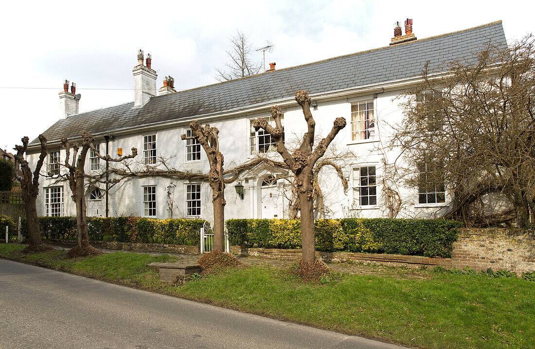 Umgestürzte Bäume auf dem Grünstreifen vor einer Reihe weißer Reihenhäuser in Burwash, East Sussex, England, Vereinigtes Königreich