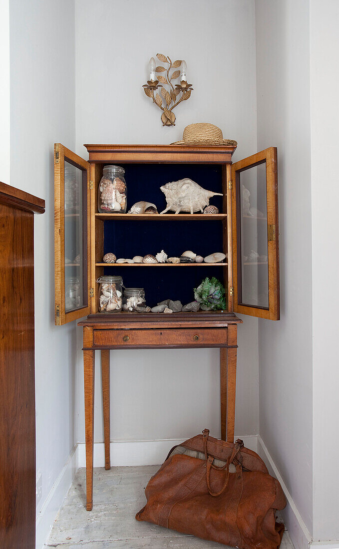 Sammlung von Muscheln in Vitrine mit brauner Ledertasche in West Sussex home England UK