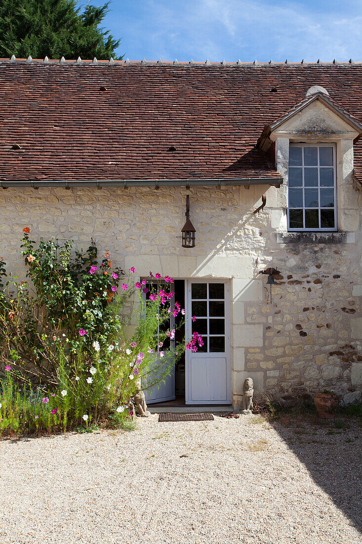 Blühende Pflanzen an der sonnenbeschienenen Außenseite eines französischen Bauernhauses an der Loire Frankreich