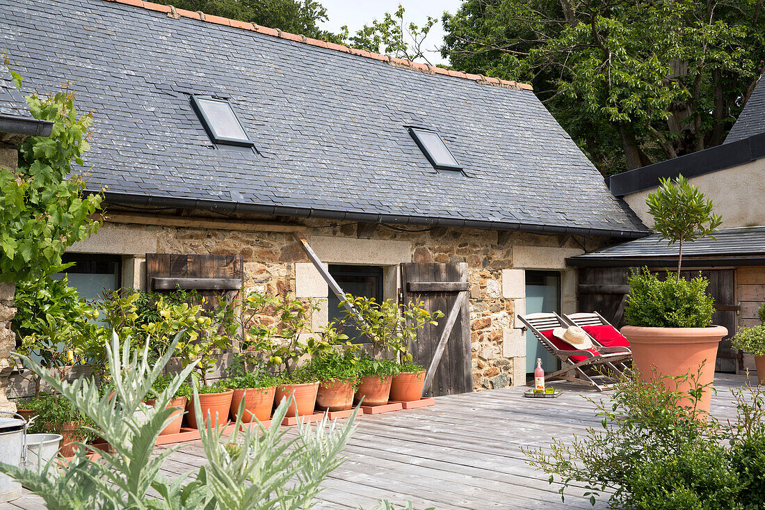 Mit Topfpflanzen bepflanzte Terrasse an der Außenseite eines Steinhauses in der Bretagne, Frankreich