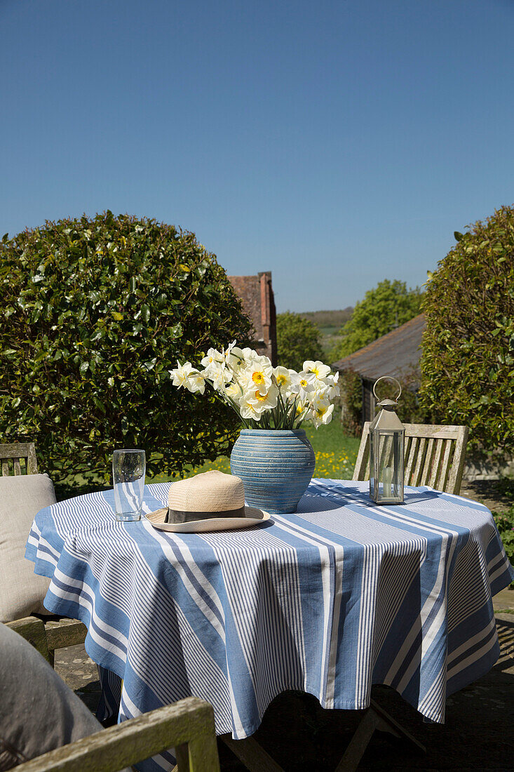 Cut daffodils on striped blue tablecloth in Warminster garden  Wiltshire  England  UK