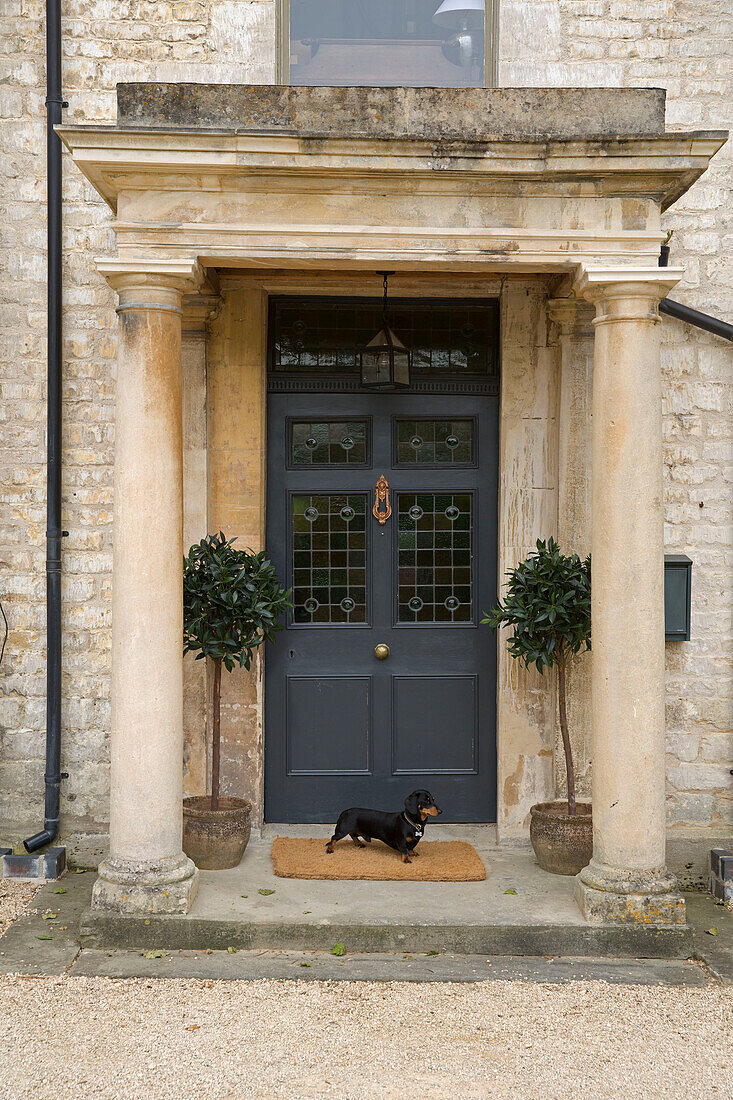 Kleiner Hund auf Matte im Eingangsbereich eines Einfamilienhauses in Gloucestershire, England, UK