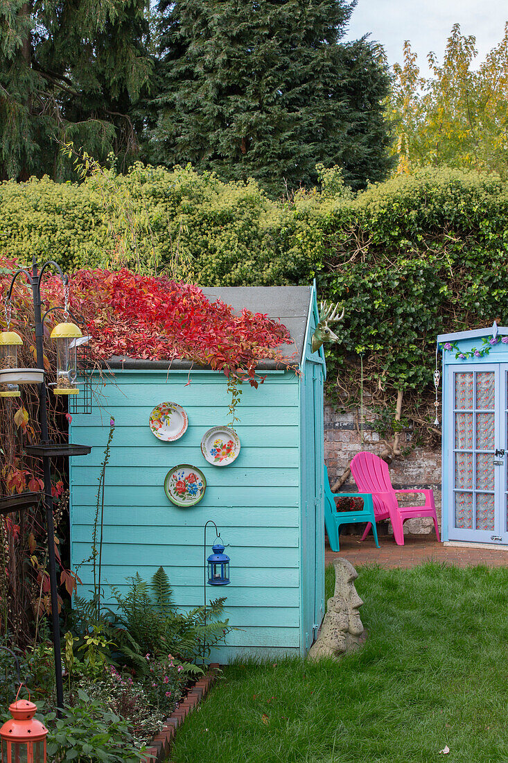 Turquoise shed and summerhouse with bird feeder in Kidderminster garden Worcestershire England UK