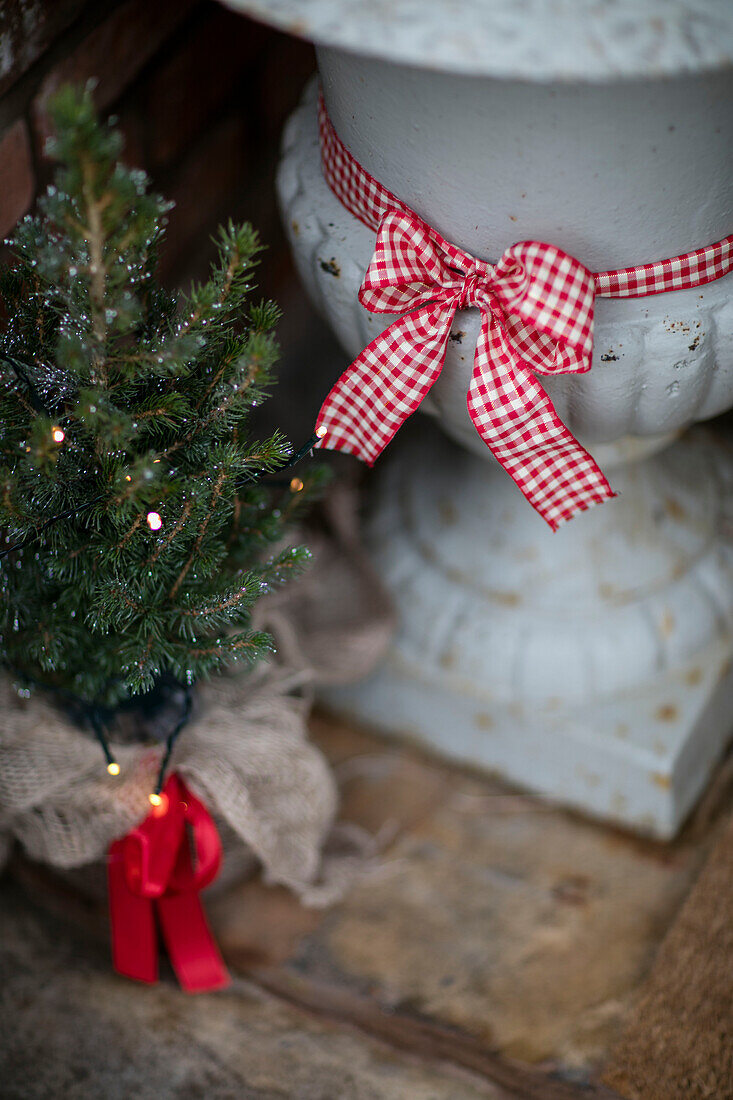 Gingham-Schleife auf Gartenurne mit kleinem Weihnachtsbaum vor der Tür eines Hauses in Cheshire, UK