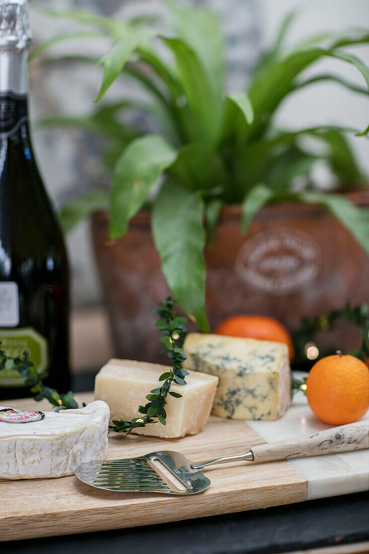 Cheeseboard and prosecco with houseplant in West Sussex farmhouse UK