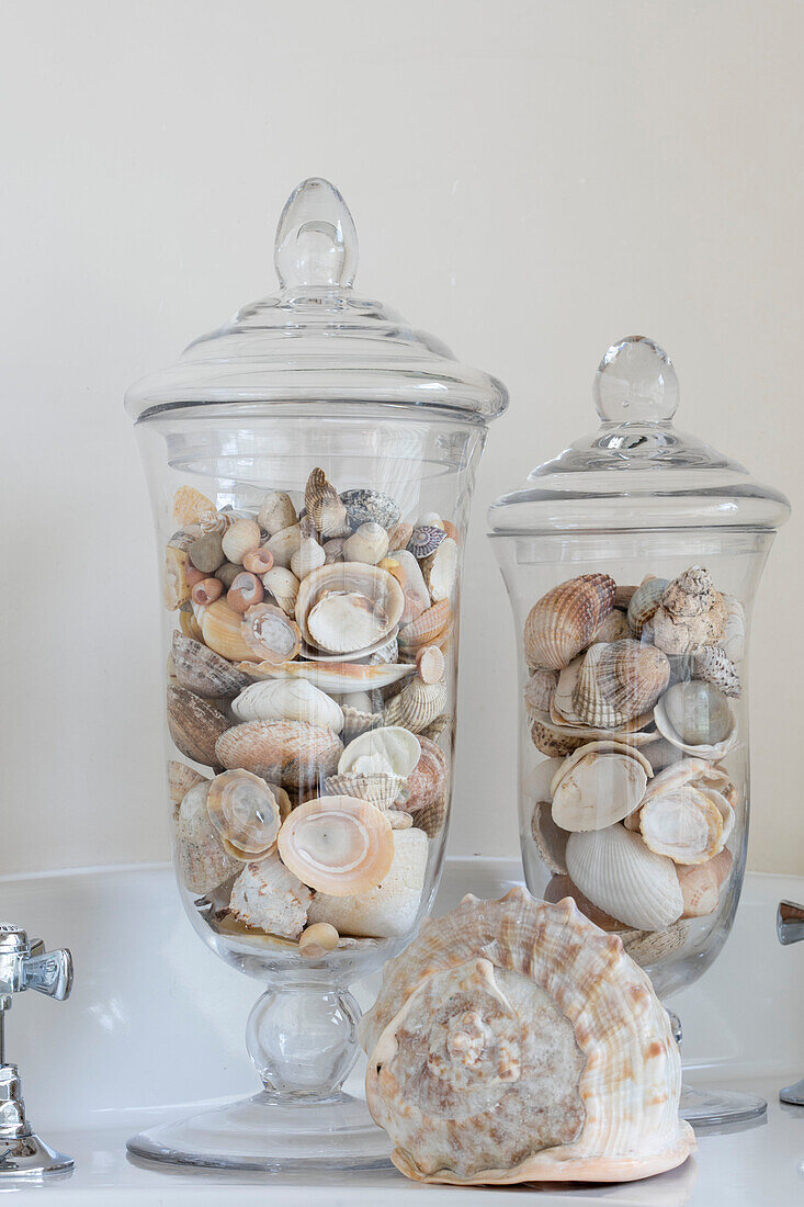 Muscheln in Glasgefäßen auf dem Waschbecken in einer umgebauten Scheune in Gloucestershire UK