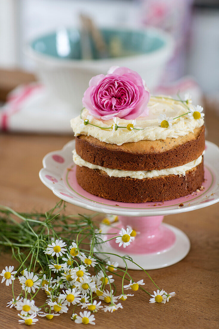 Zitronen- und Mohnkuchen mit Gänseblümchen in West Sussex UK