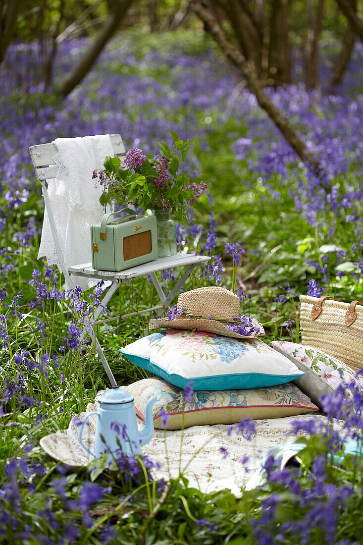 Sunhat and cushions with radio on chair for picnic in bluebell woods (Hyacinthoides non-scripta)