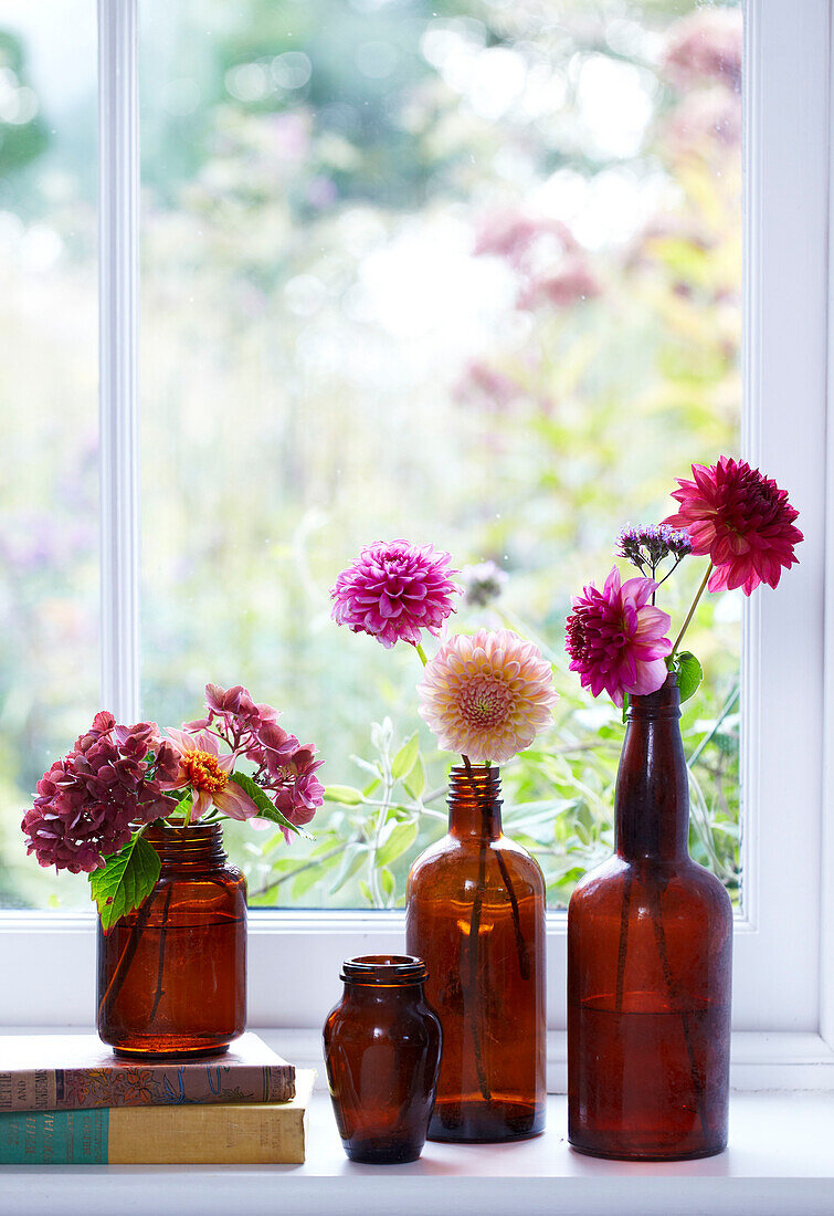 Brown glass vases in a row by a window filled with Dahlias