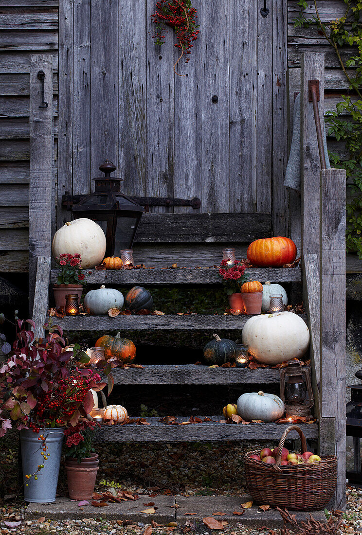 Rustic garde shed exterior with steps filled with autumnal produce such as pumpkins and apples and candles