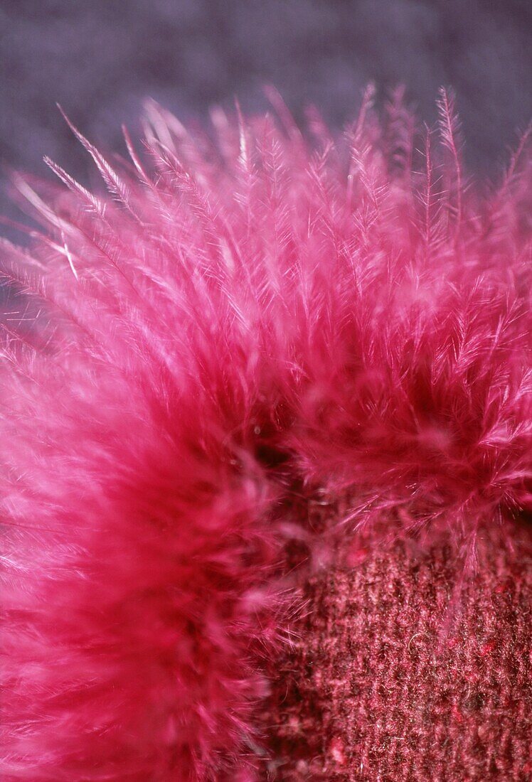 Detail of pink feather trim on cushion
