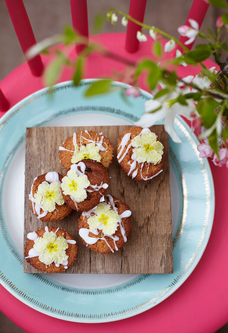 Iced cup cakes on a wooden board with drizzled icing and primroses