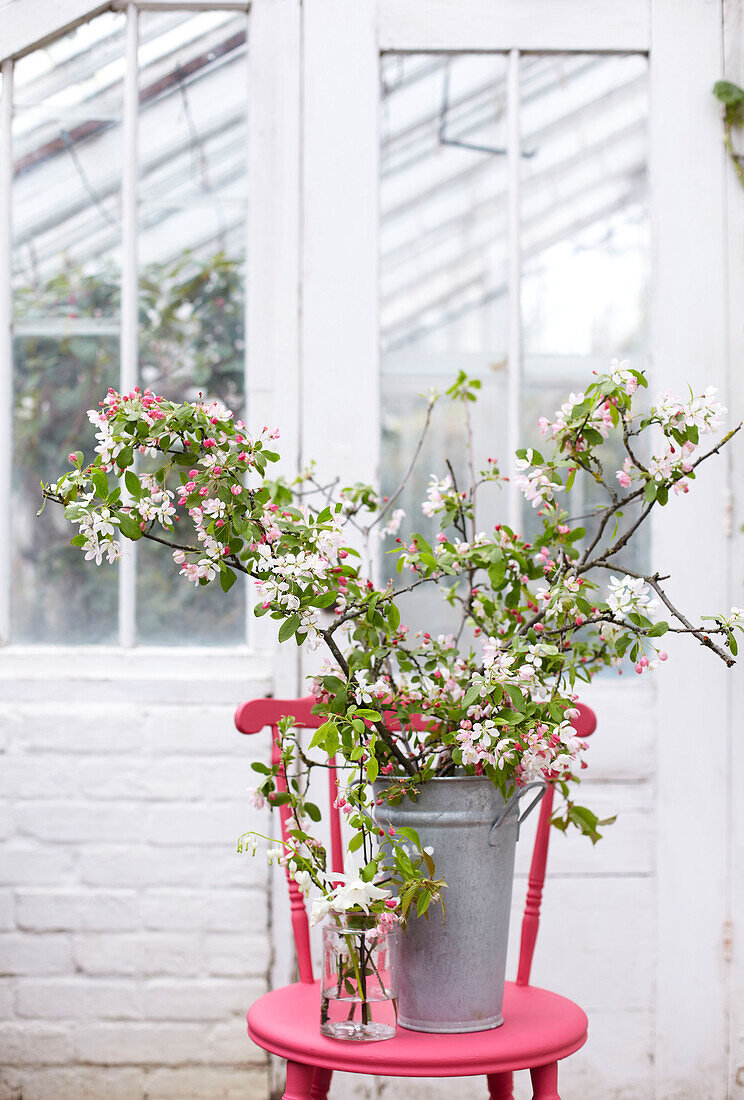 Metal bucket with branches of blossom and glass jar with spring flowers on bright pink chair in greenhouse