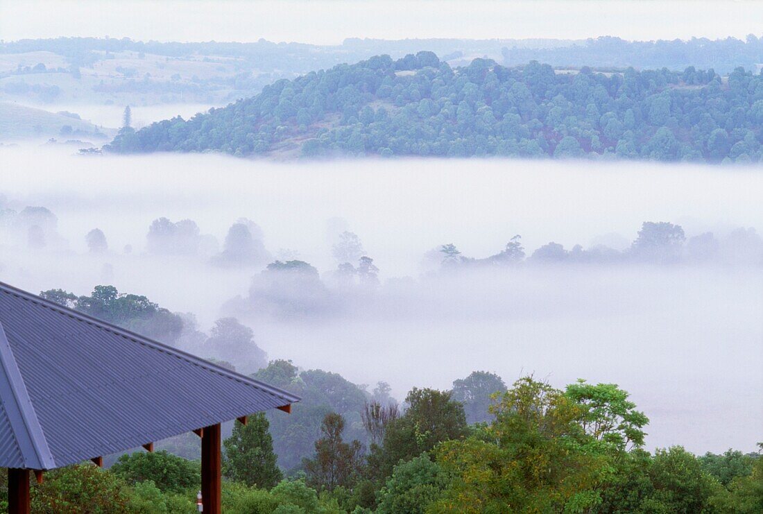 Hinterlandlandschaft in der Morgendämmerung