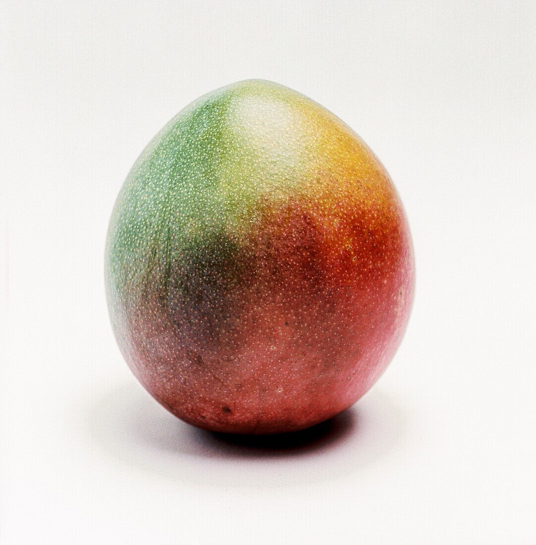 Reife Mango