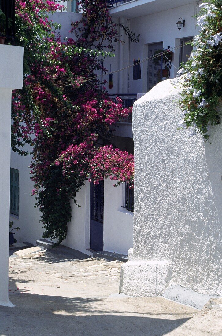 Streets of Skiathos, Greece