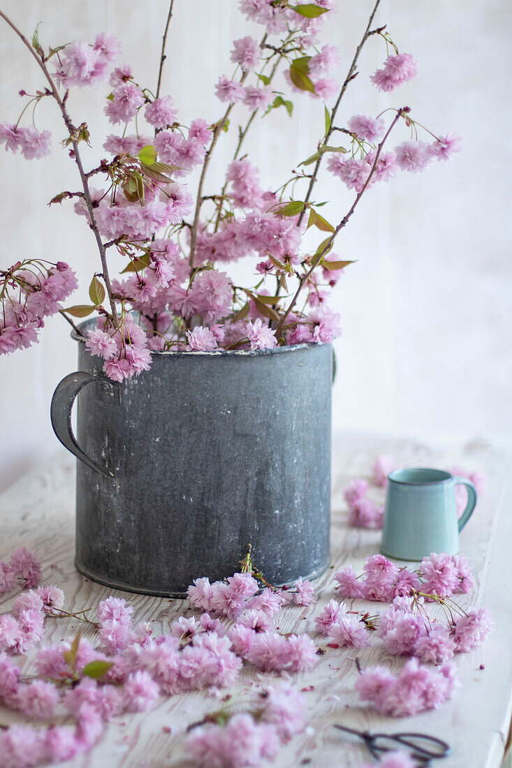 Stilleben einer Blüte in einem Zinkeimer