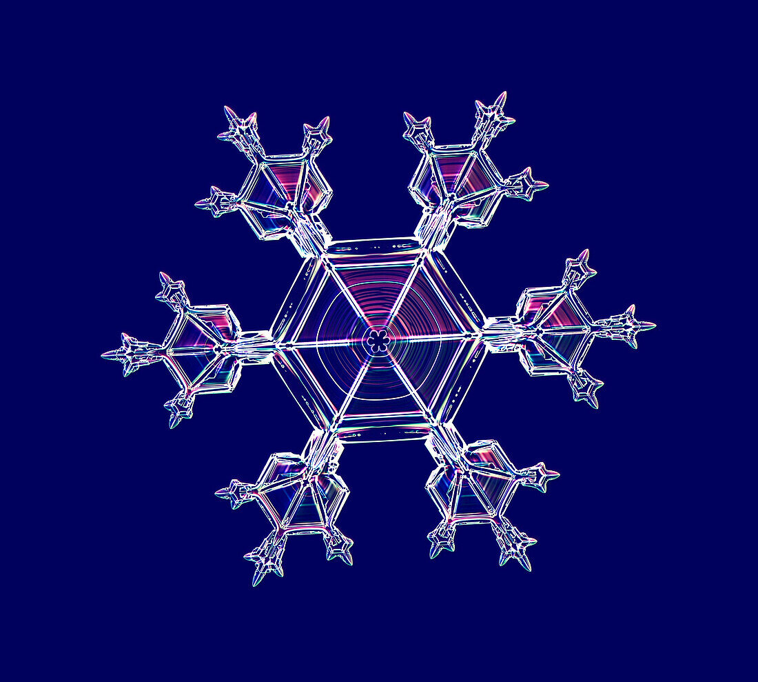 Snowflake, light micrograph