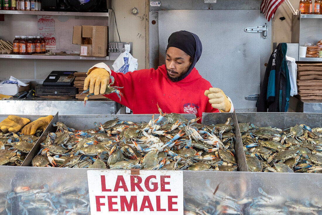 Municipal Fish Market, Washington D.C., USA