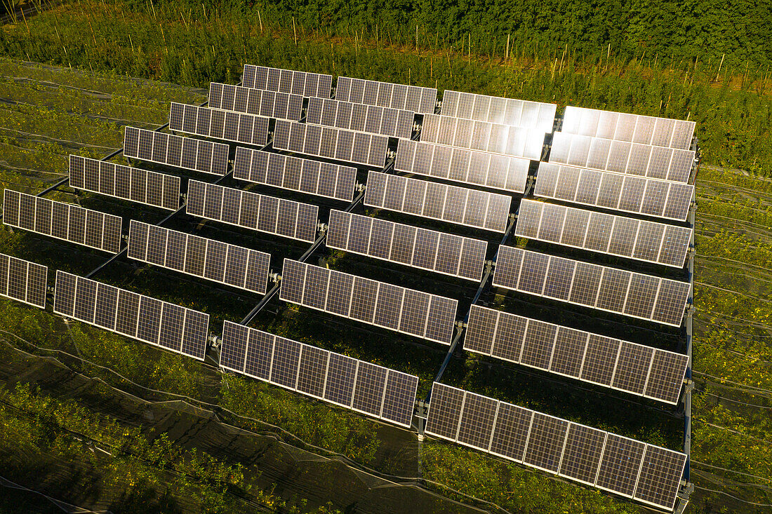 Photovoltaic awnings used to grow crops