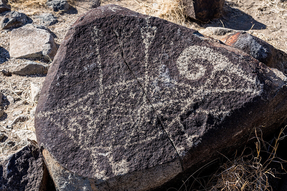 Petroglyph of a bighorn sheep pierced by arrows