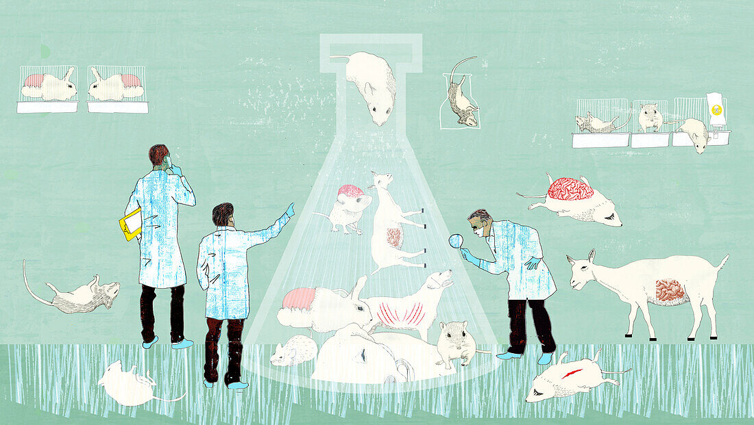 Scientists testing animals, illustration