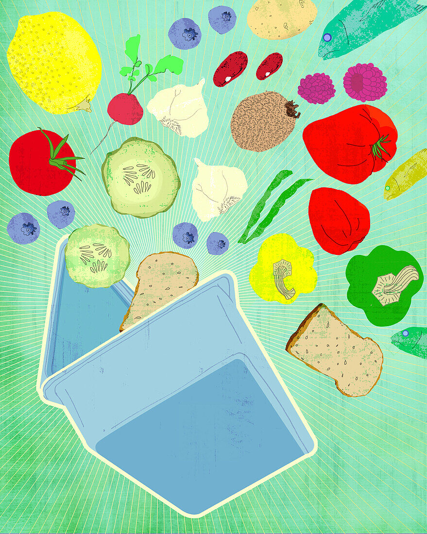 Healthy lunch box, illustration