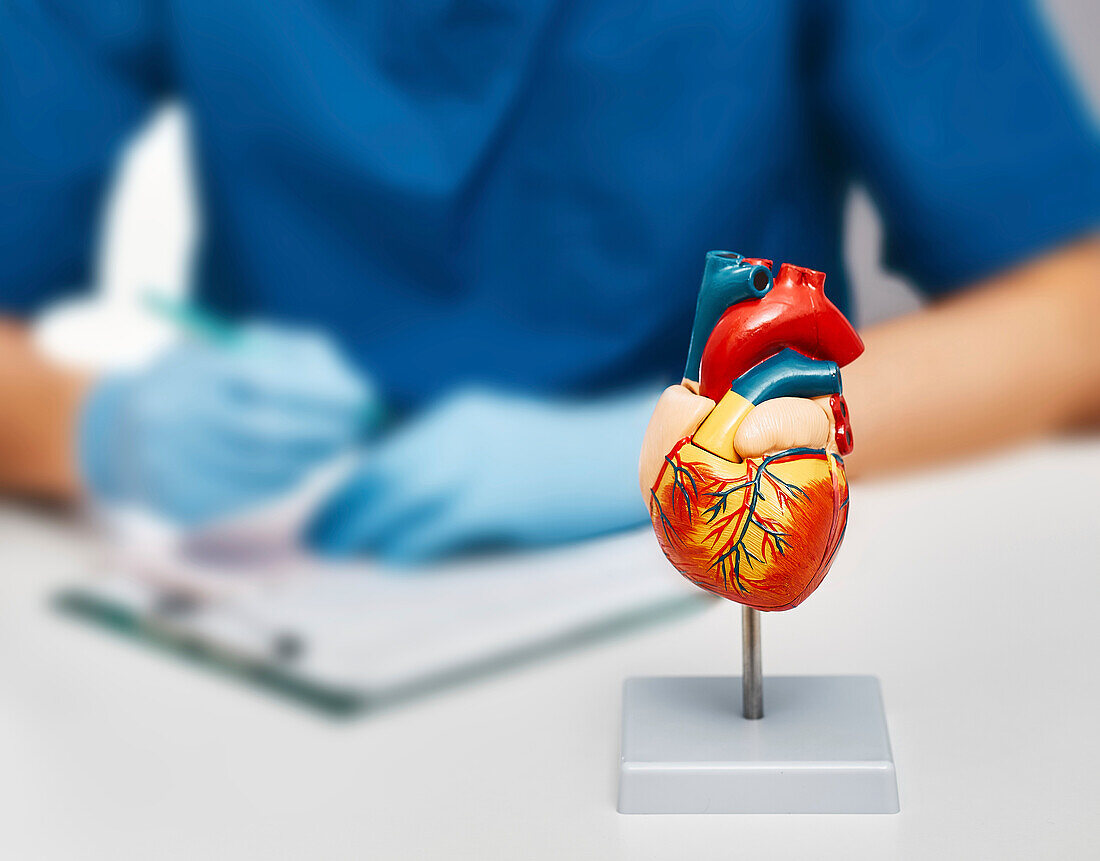 Cardiac health, conceptual image