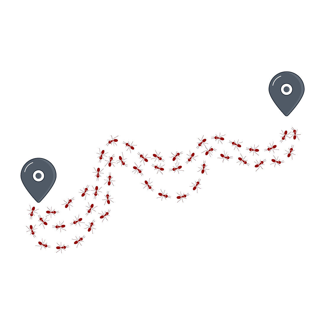 Tracking movement of ants, conceptual illustration
