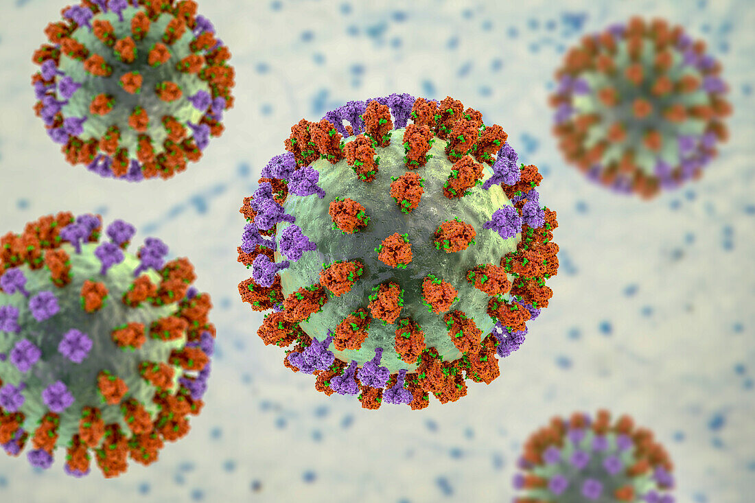 Flu virus, illustration