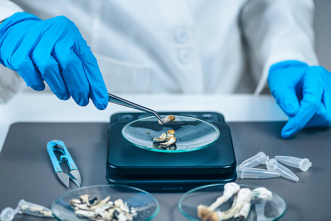Measuring psilocybin magic mushroom microdoses in laboratory