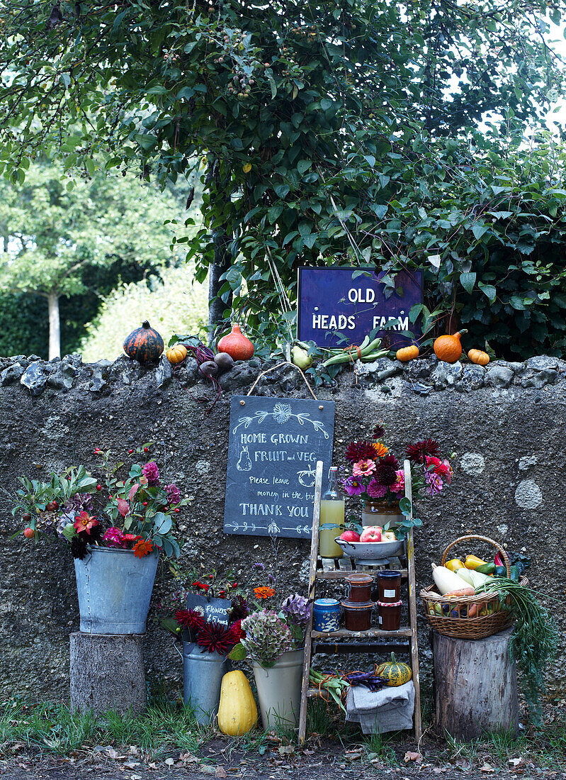 Herbstliche Dekoration mit Kürbissen und Blumen an einer Steinmauer