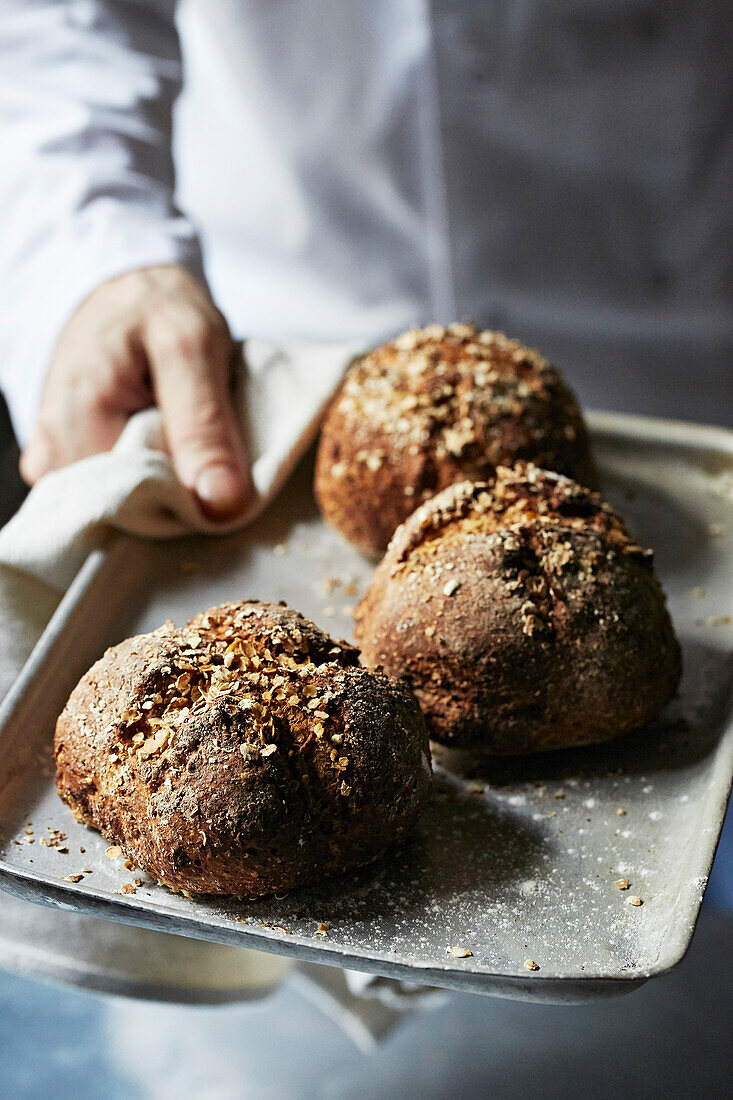 Frisch gebackene, knusprige Brötchen auf Ofenblech