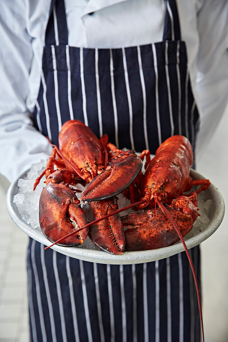 Cooked lobsters held by a chef