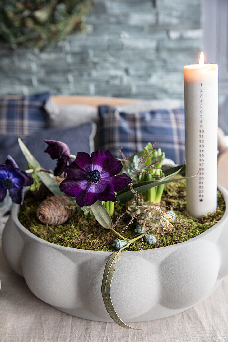 White bowl with Christmas roses and burning advent candle on table